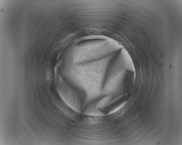 X0000081430134200702021702