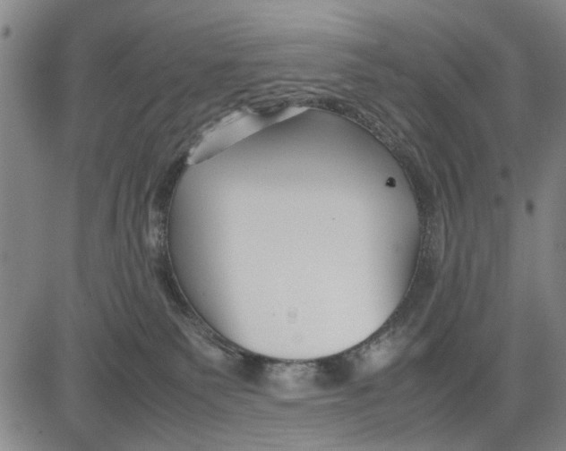 X0000081430135200702021702