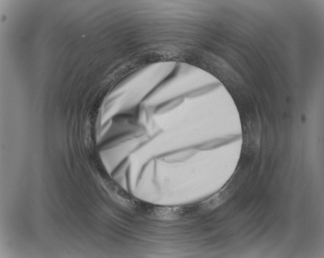 X0000081430136200702021702