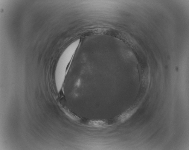 X0000081430137200702021702