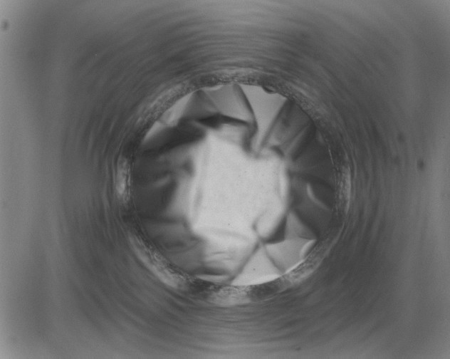 X0000081430138200702021702