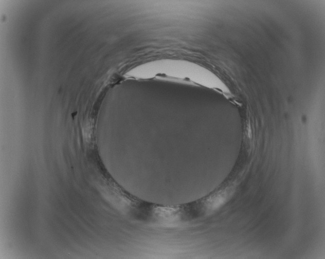 X0000081430139200702021702