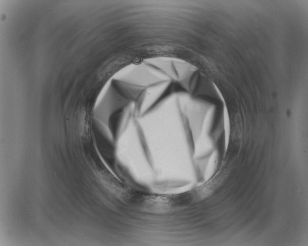 X0000081430140200702021702