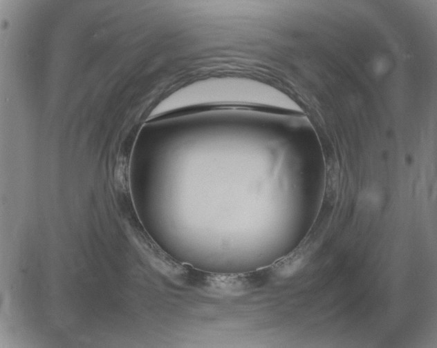 X0000081430141200702021702