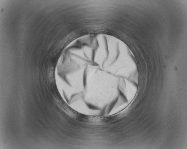 X0000081430144200702021702