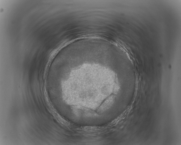 X0000081430145200702021701