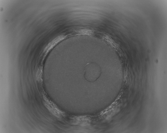 X0000081430146200702021701