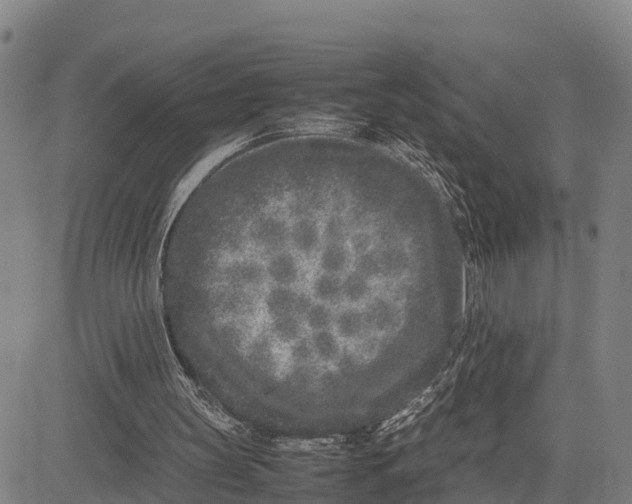 X0000081430147200702021701