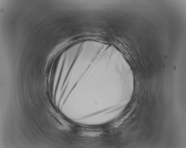 X0000081430149200702021701