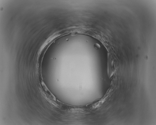 X0000081430150200702021701