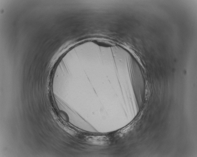 X0000081430151200702021701