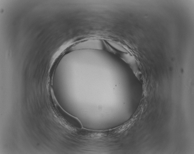 X0000081430152200702021701