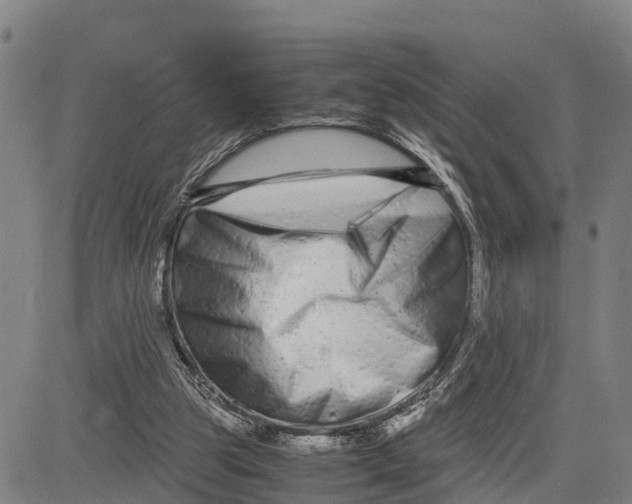 X0000081430153200702021701