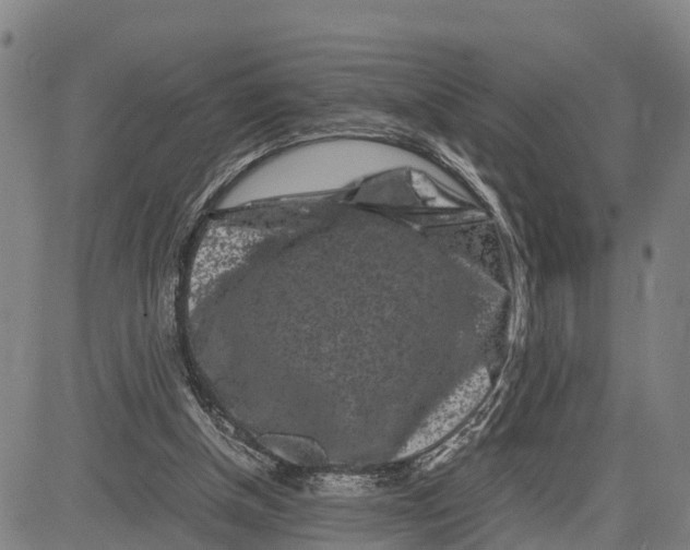 X0000081430154200702021701