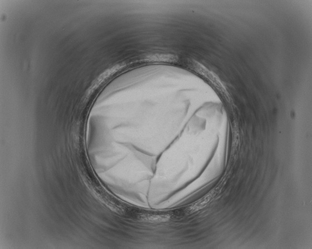 X0000081430155200702021701