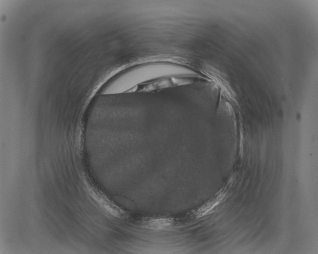 X0000081430156200702021701