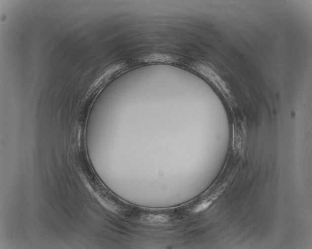 X0000081430157200702021701