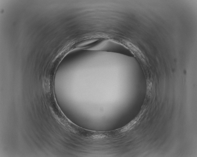 X0000081430158200702021701