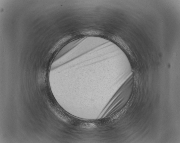 X0000081430159200702021701