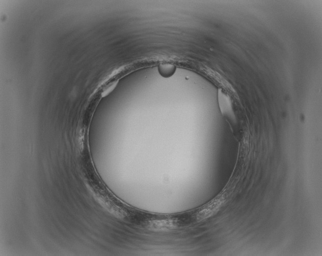 X0000081430160200702021701