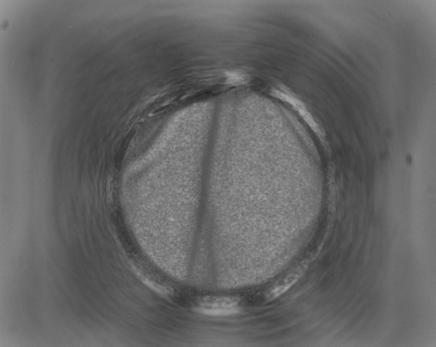 X0000081430161200702021701