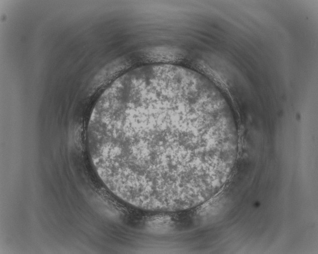 X0000081430162200702021701