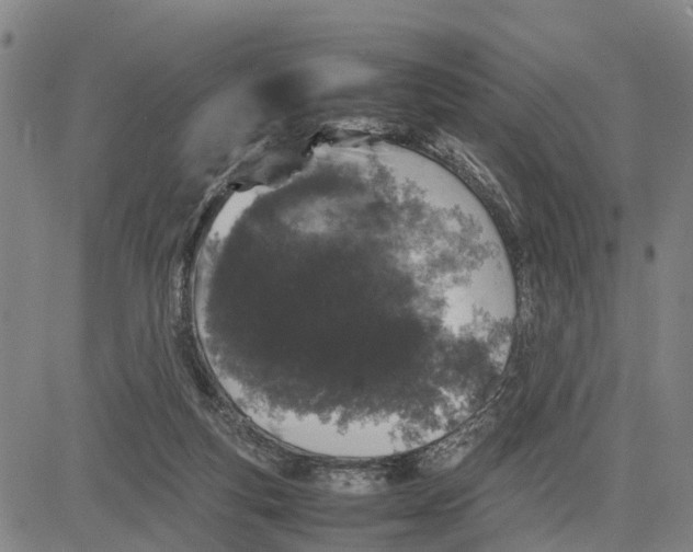 X0000081430163200702021701