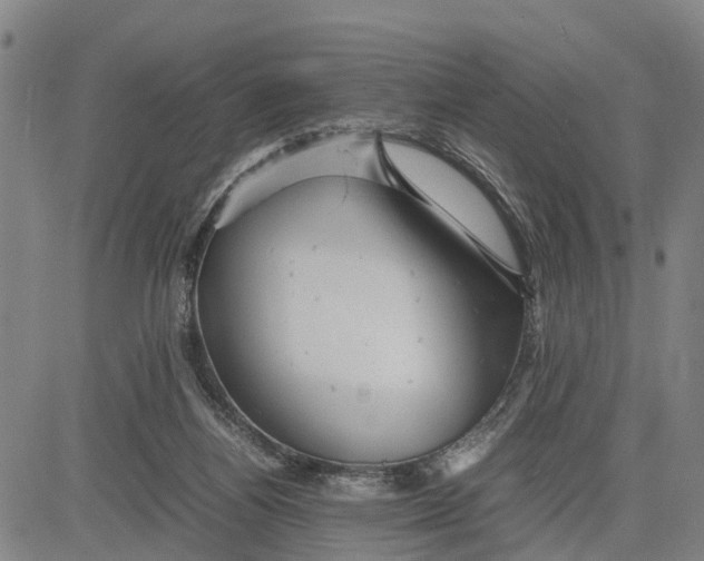 X0000081430164200702021701