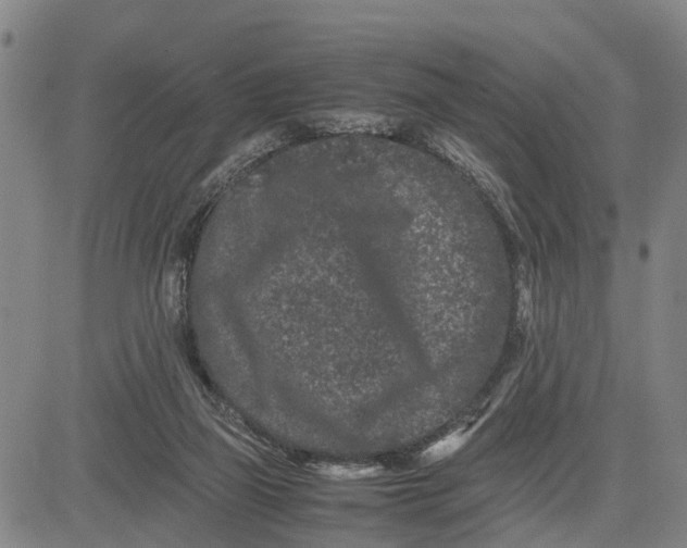 X0000081430165200702021701