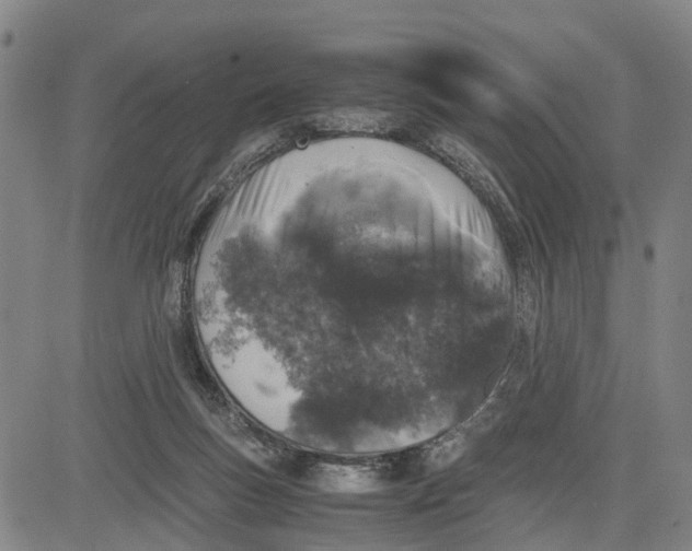 X0000081430167200702021701