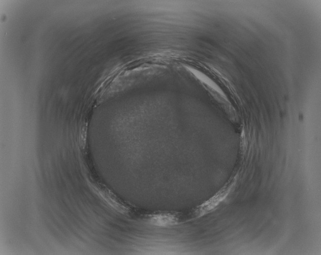 X0000081430168200702021701