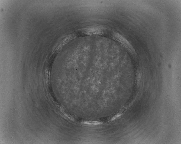 X0000081430169200702021701