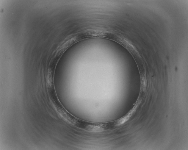 X0000081430170200702021701