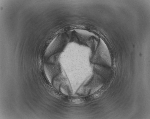 X0000081430173200702021701