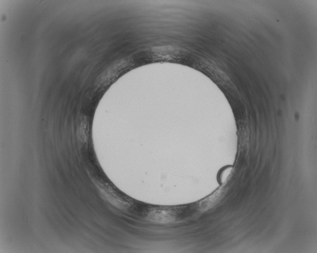 X0000081430174200702021701