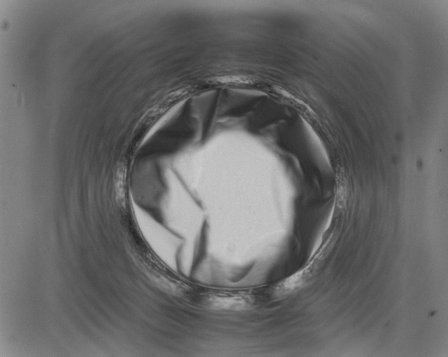 X0000081430175200702021701