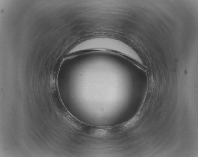 X0000081430176200702021701