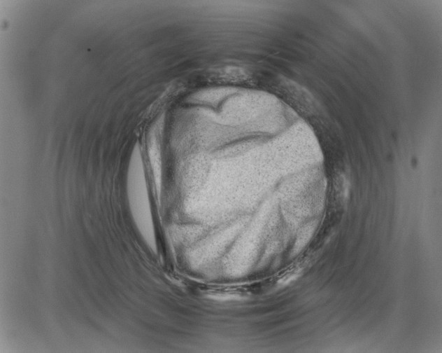 X0000081430177200702021701