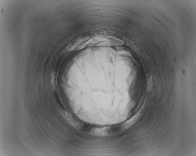 X0000081430178200702021701