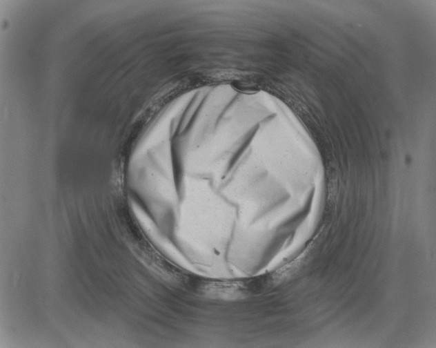 X0000081430179200702021701