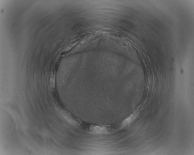 X0000081430180200702021701