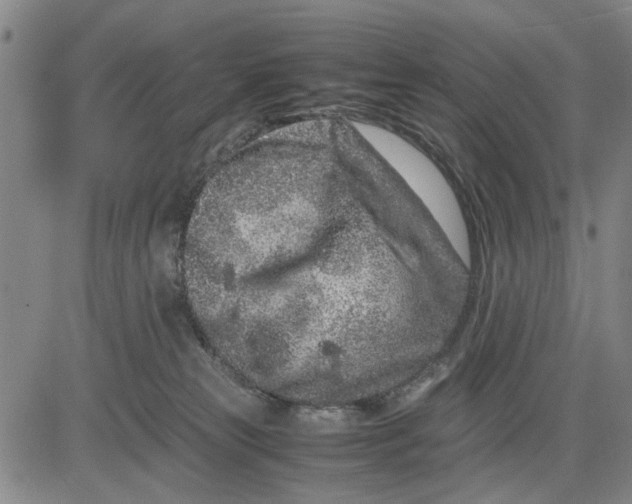 X0000081430181200702021701