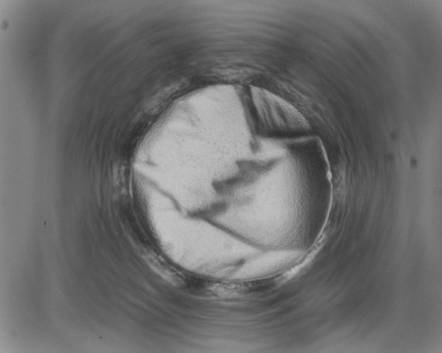 X0000081430182200702021701