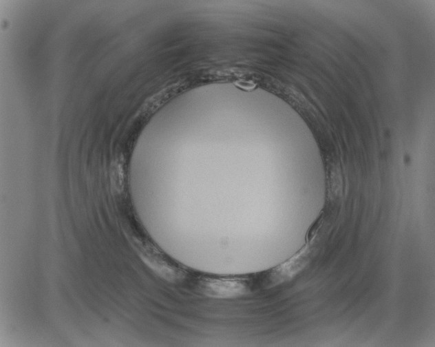 X0000081430183200702021701