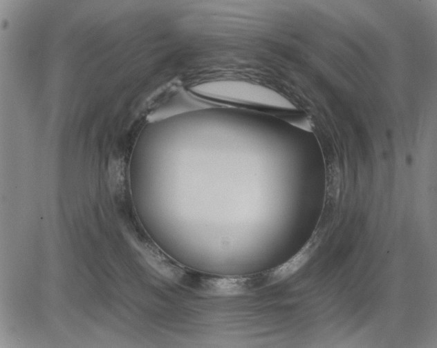 X0000081430184200702021701