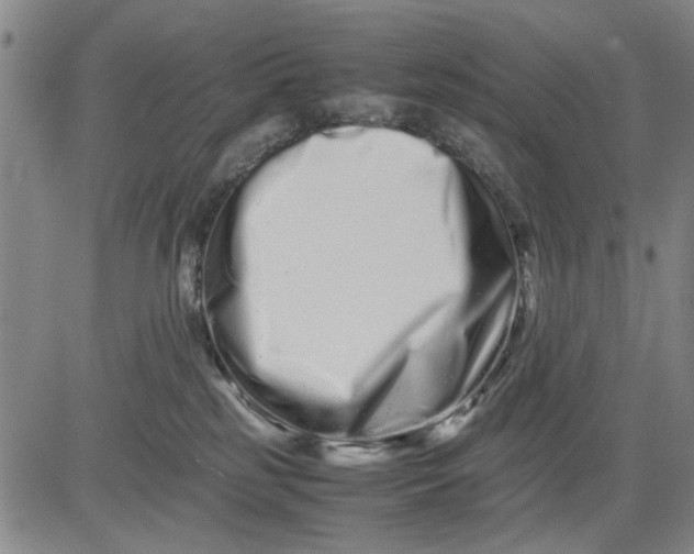 X0000081430185200702021701