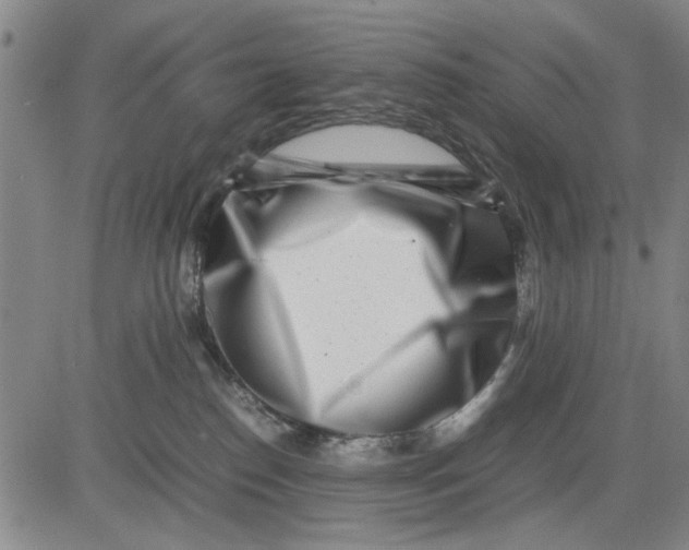 X0000081430186200702021701