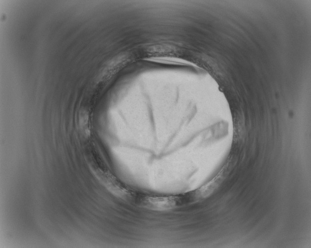 X0000081430187200702021701