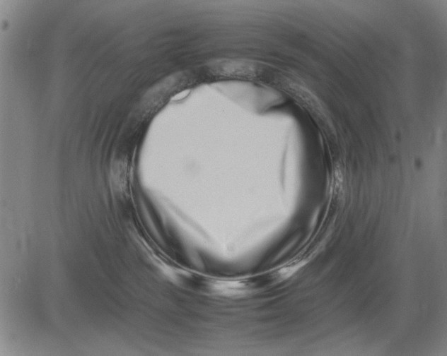 X0000081430189200702021701