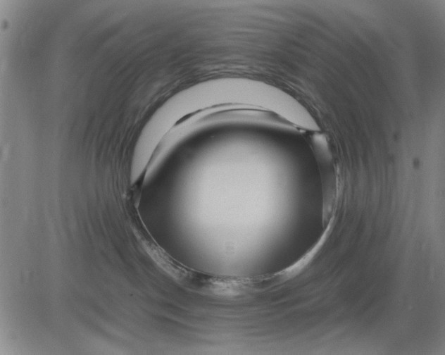 X0000081430190200702021701